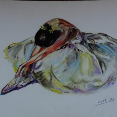 Danseuse classique